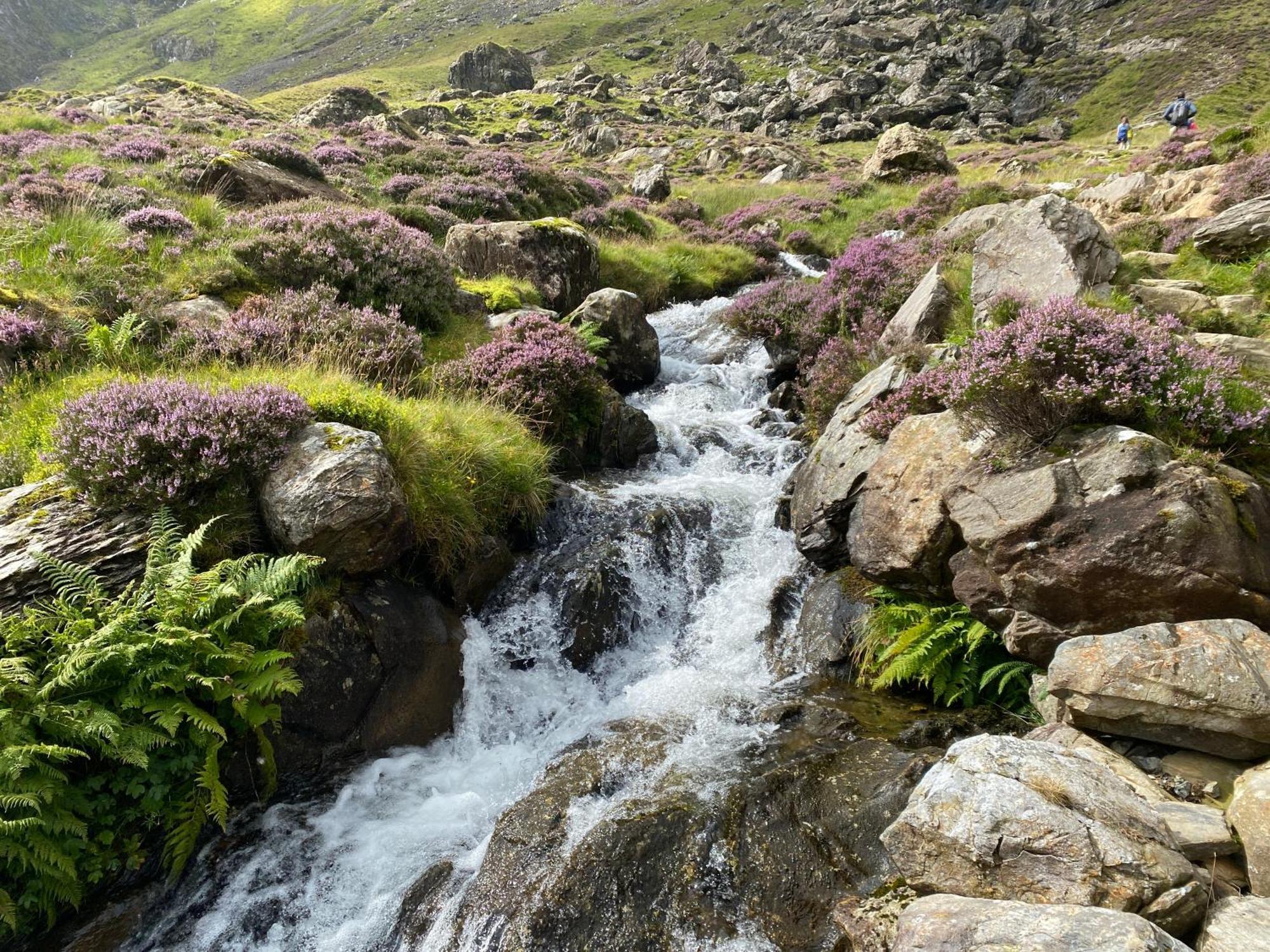 Penmachno Pen Y Cwmヴィラ エクステリア 写真